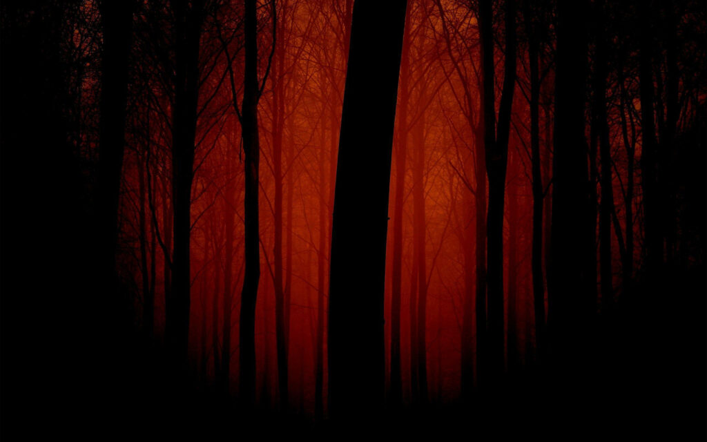 Enshrouded in Eerie Glow: A Sinister Illumination Amidst the Tall Forest Trees Wallpaper