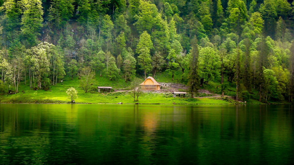 A Serene Landscape of Misty Green Leafed Trees and Forests Reflecting on Glassy Lake Amidst Lush Grass. Wallpaper