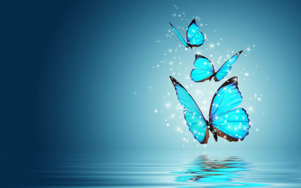 Enchanting Night Butterfly Elegantly Dancing on Water: Captivating Wallpaper