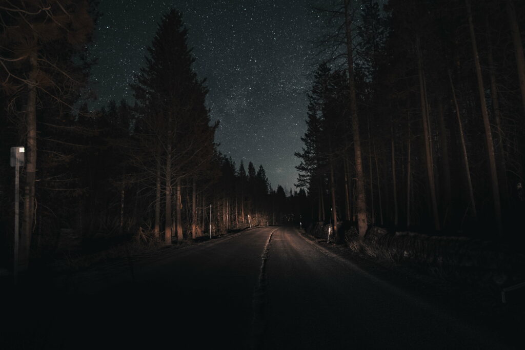 Enchanted Pathway: Journey through the Night Forest under a Starlit Sky Wallpaper