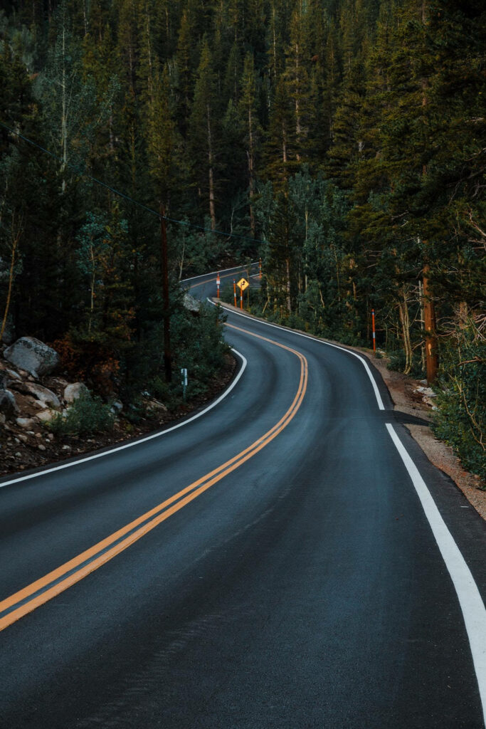Mystical Pathway: A Captivating HD Phone Background with a Serene Concrete Road Amidst Enchanting Woods in Dim Light Wallpaper