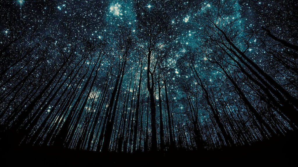 Enchanted Night Sky: Captivating HD Widescreen Wallpaper with Majestic Tree in Low Angle View