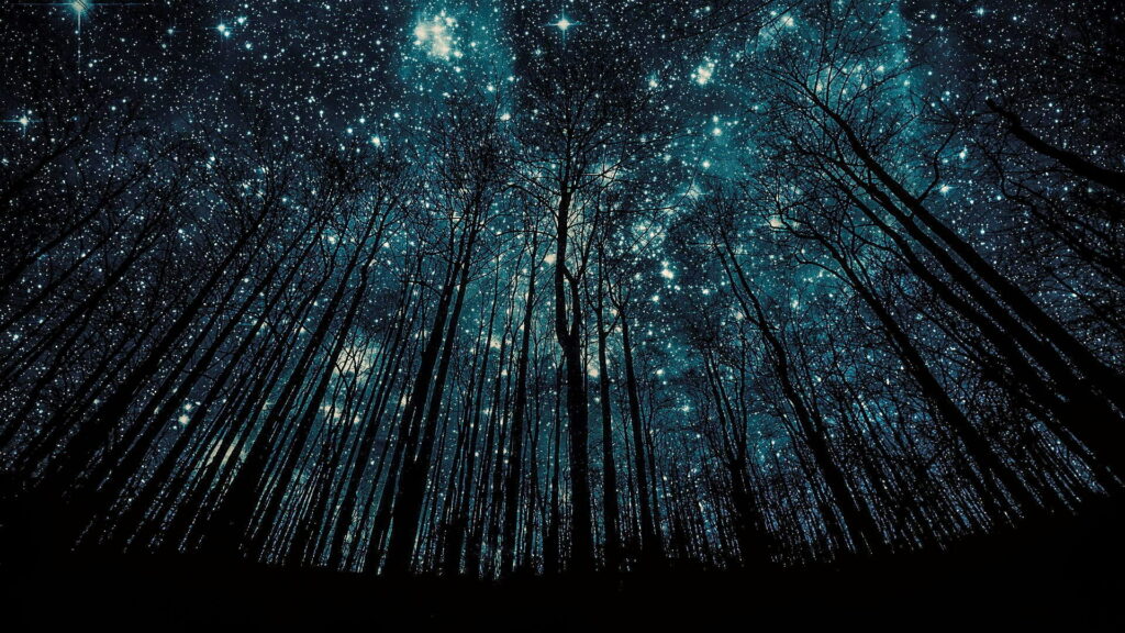 Silhouetted forest beneath expansive starry night sky widescreen HD wallpaper background