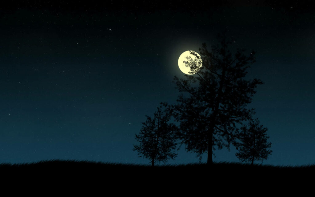 Enchanting Moonlight: HD Background with Silhouetted Trees Embracing the Glowing Full Moon Wallpaper