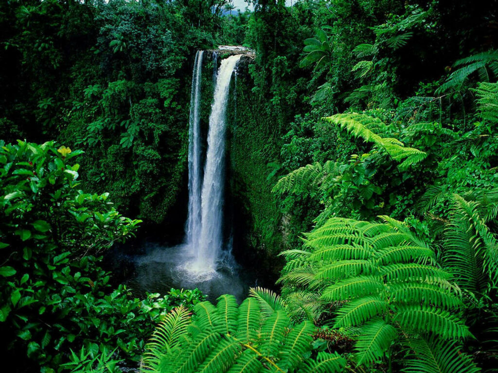 Hidden Oasis: Captivating Waterfall Embraced by Serene Greenery Wallpaper