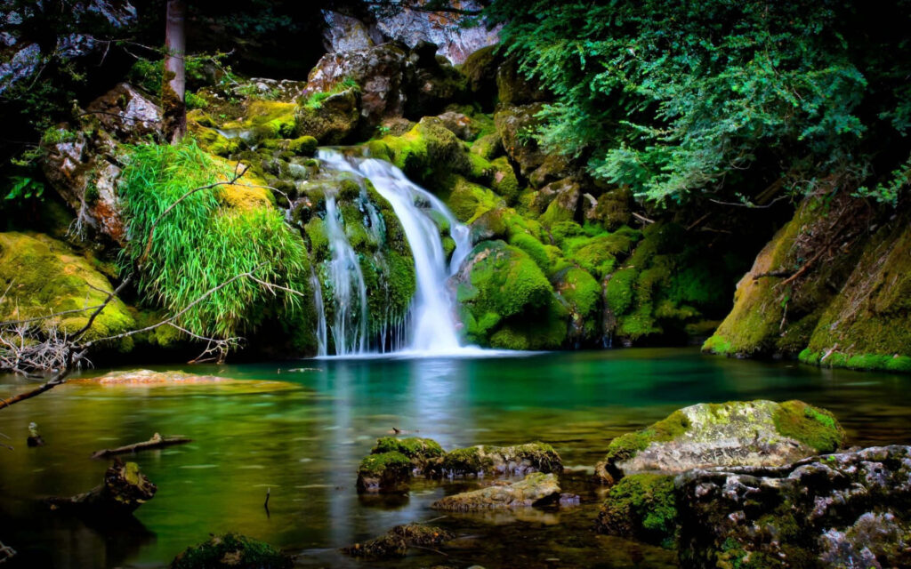 Tropical Paradise: Captivating Waterfall amidst Lush Forest Wallpaper