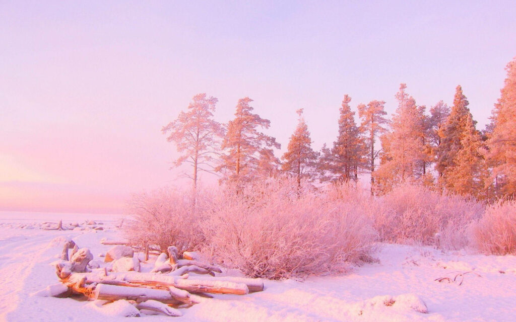 Enchanting Pastel Skies and Trees: An Aesthetically Pleasing Desktop Background Wallpaper
