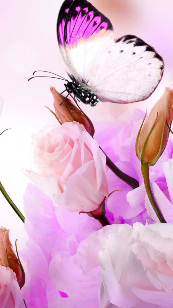 Cute Purple Butterfly on Pink Flowers - Serene Pastel Wallpaper