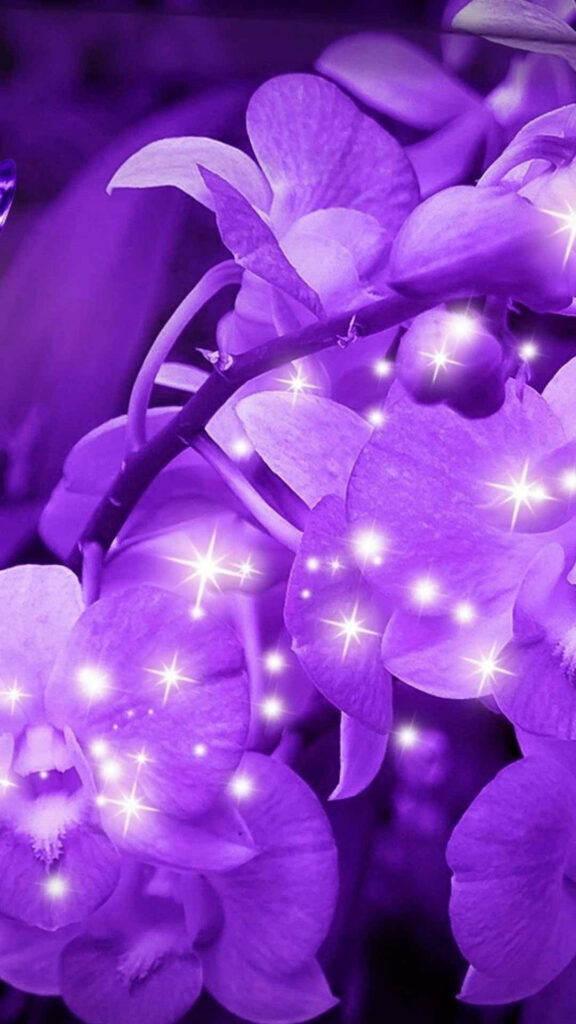 Enchanting Purple Flower Wallpaper with Sparkling Effects