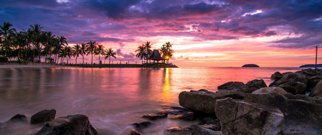 Enhancing Serenity: Majestic Coastal Rocks and Palm Trees in the Vibrant Hues of a Purple Sunset Wallpaper