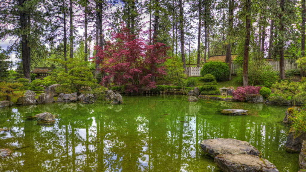Enchanting Oasis: Serene Reflections in a Blossoming Garden - 4K Nature Wallpaper