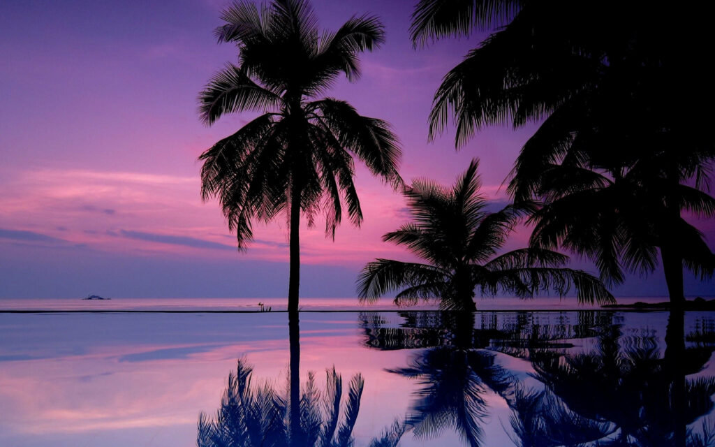 Serene Coastal Dreams: Reflective Coconut Palms & Rose-Tinged Horizon Wallpaper
