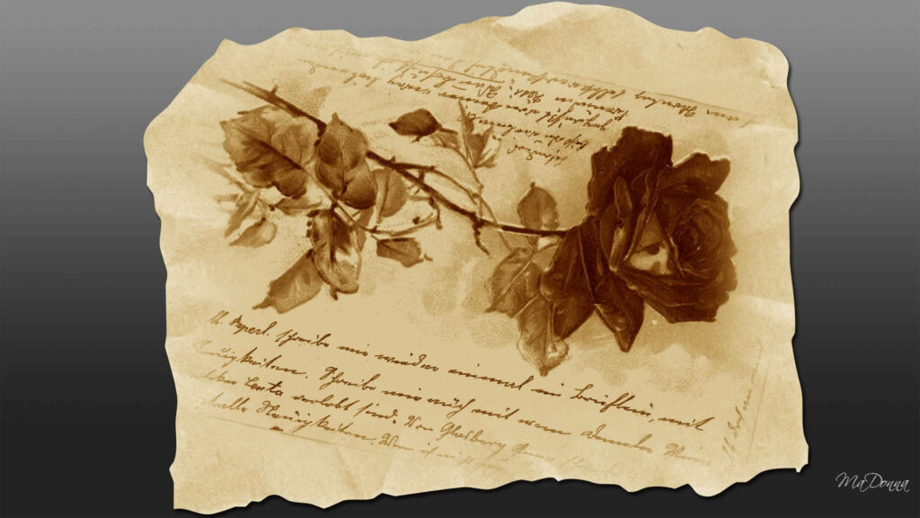 Elegant Floral Manuscript: Vintage Rose Illustrated on Scripted Wallpaper