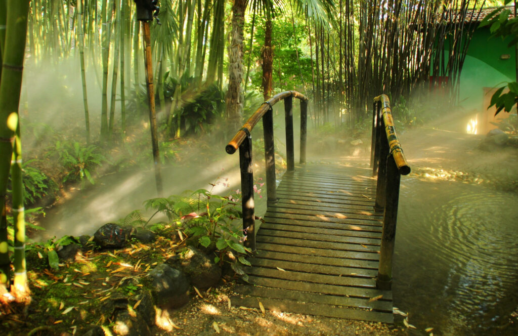Bamboo Haven: Immersive 4K Capture of an Enchanting Bridge in a Serene Bamboo Forest Garden Wallpaper