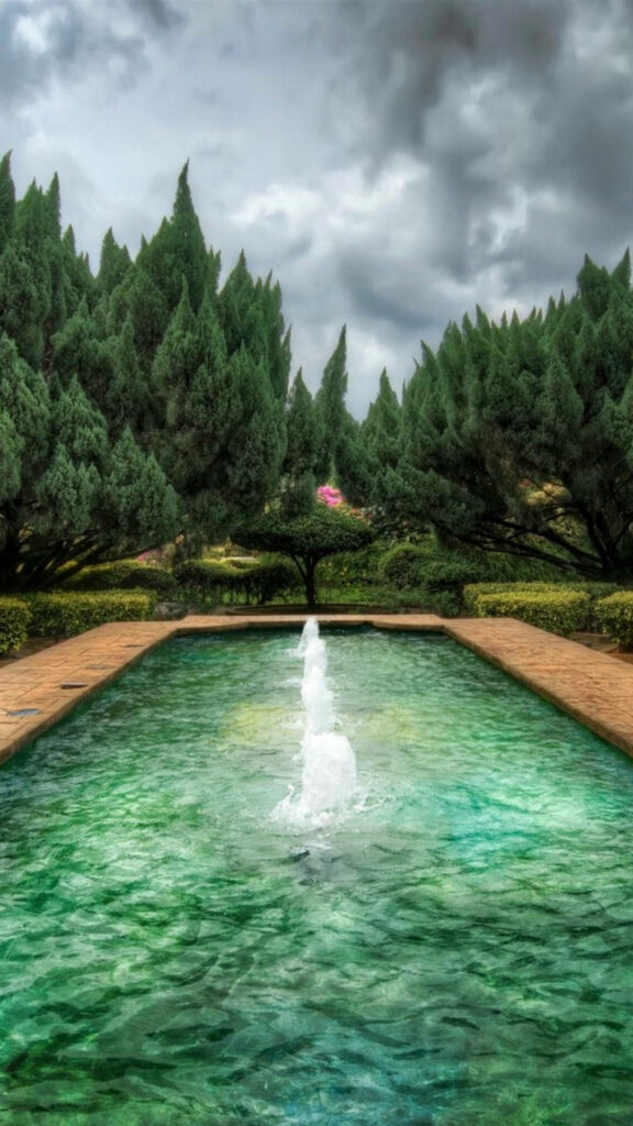 Enchanting Nature Oasis: HD Vertical Image of Serene Green Pool Nestled Amongst Lush Surrounding Trees - Perfect Tablets' Background Wallpaper