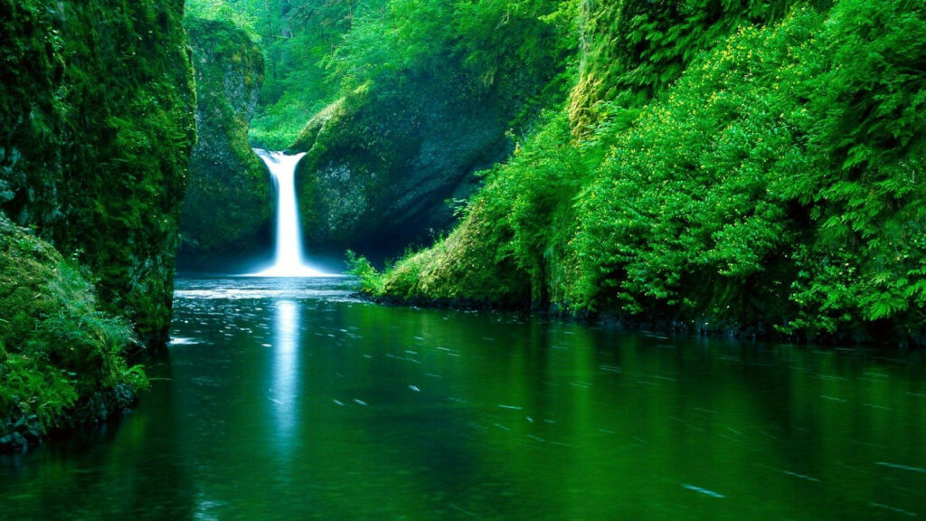 Lush Green Oasis: Unveiling a Hidden Waterfall on Your Laptop Desktop Wallpaper
