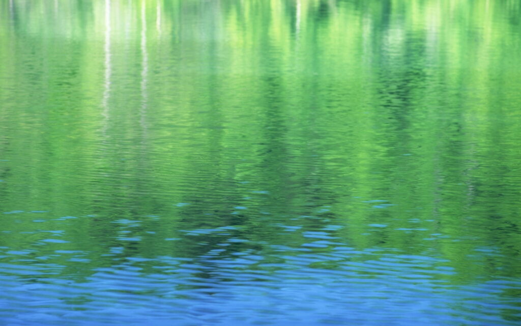 Nature's Mirror: Mesmerizing Tree Reflection on Water - HD Wallpaper