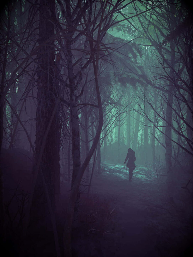 Enchanting Shadows: Mystical Silhouettes and Towering Trees in the Depths of the Forest Wallpaper