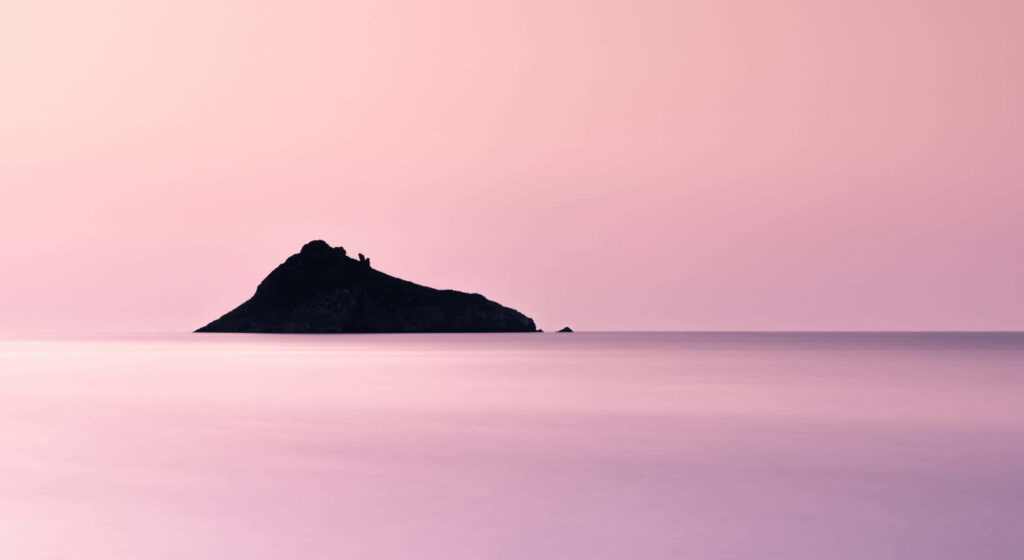 Delicate Simplicity: A Charming Pink Desktop Upgrade Wallpaper