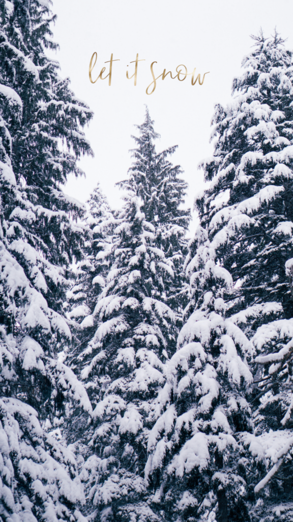 Enchanting Snow-Covered Evergreen Trees Festive Wallpaper Background
