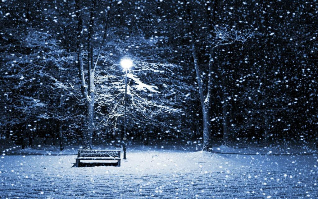 Winter Wonderland: Enchanting Night Snowfall Captures the Charm of a Illuminated Park Bench Nestled Amongst Evergreen Trees Wallpaper