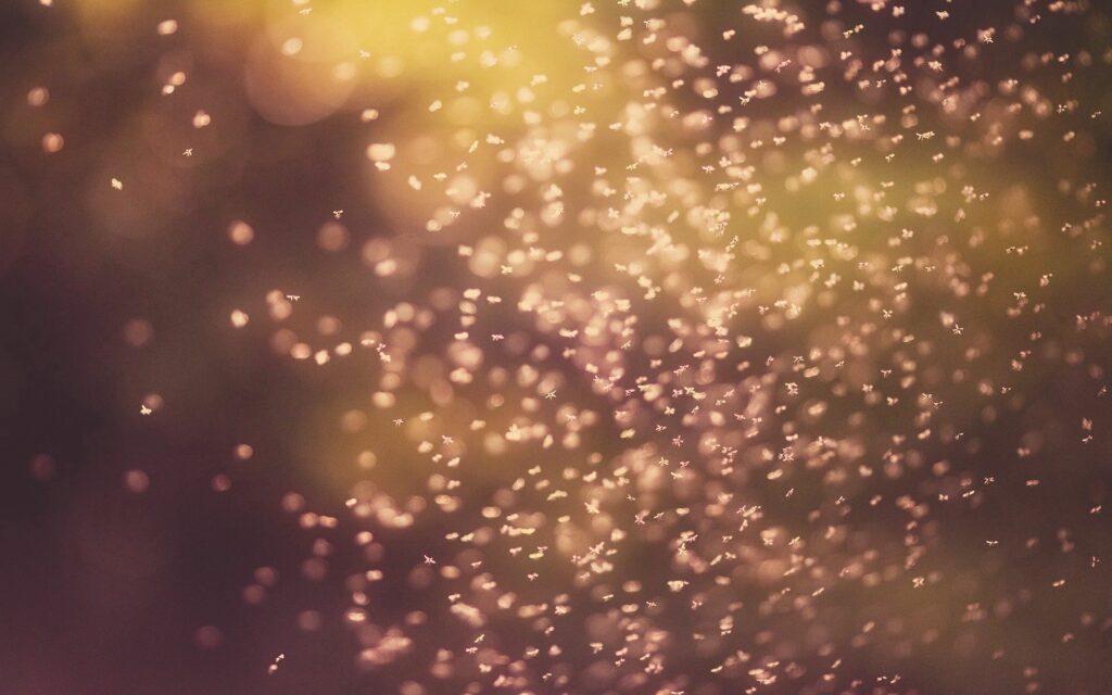 Enchanting Soft Light Wallpaper with Glowing Particles - Dreamy Background