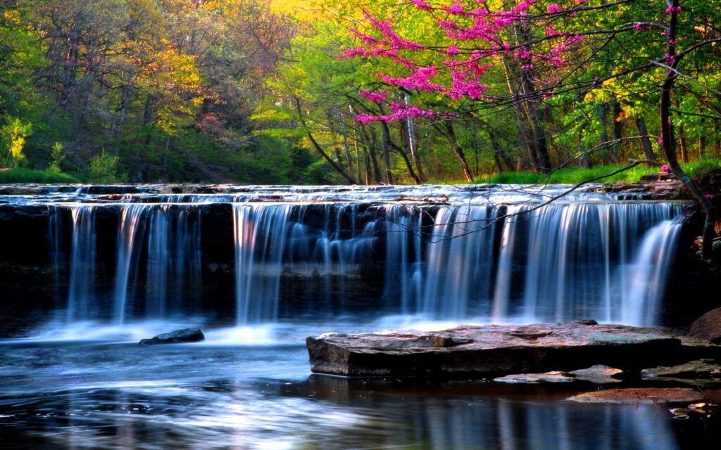 Enchanting Cascade: Embracing the Wonders of Spring in a Vibrant Forest Wallpaper
