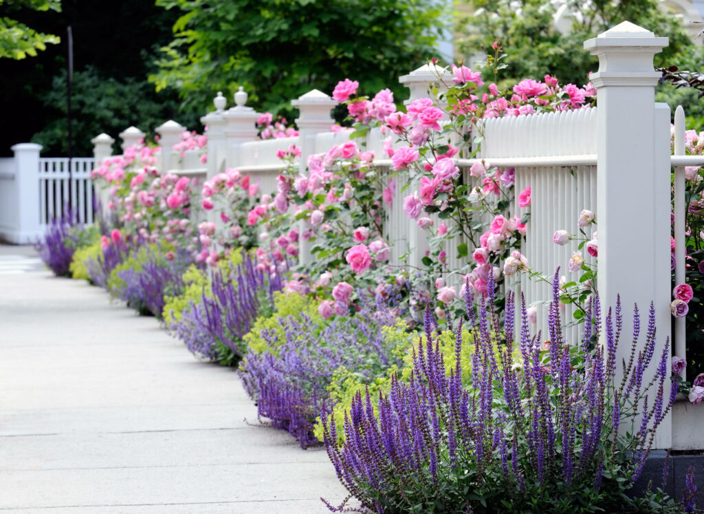 Enchanting Garden Oasis: Delicate Pink and Purple Blooms Frame a Charming White Fence Wallpaper