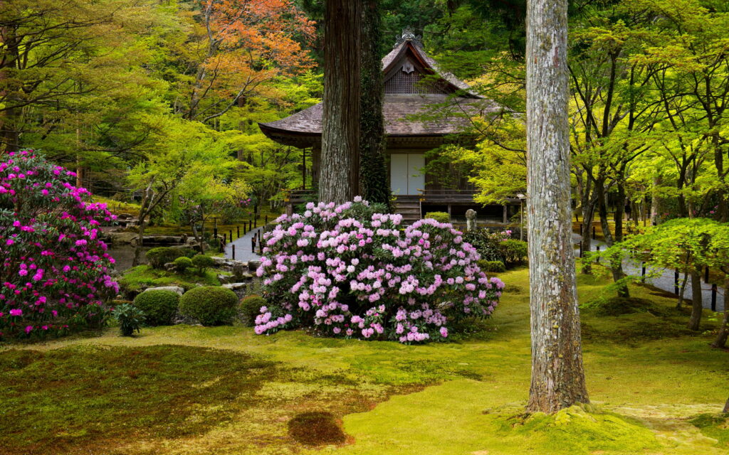 Serene Spring Oasis: Vibrant Kioto Park Awakens with Lush Greenery and Floral Bliss Wallpaper