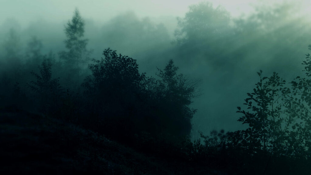 Tranquil Escape: Discover the Enigmatic Depths of the Dark Teal Forest Wallpaper