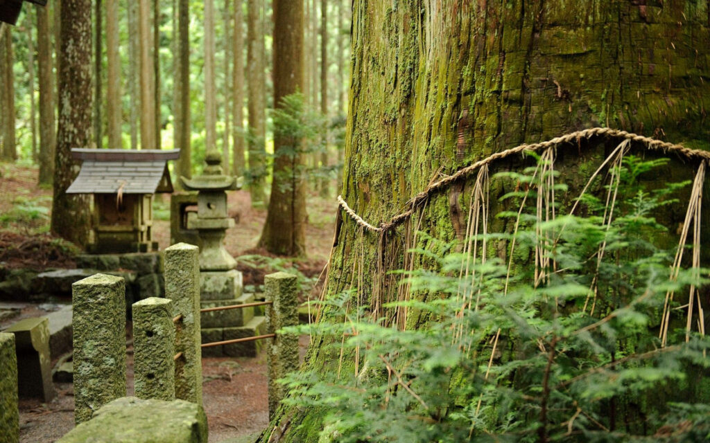 Enchanting Japanese Forest: Unveiling the Ancient Stone Shrines and Tombs Wallpaper