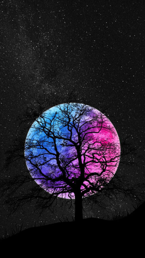 Enchanting Tree Silhouette Wallpaper with Colorful Moon & Stars