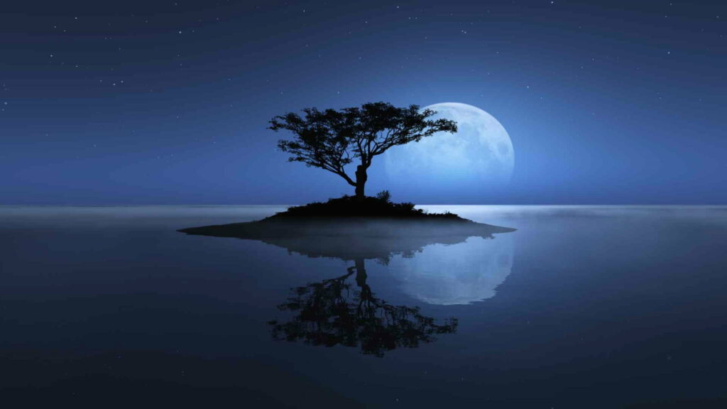 Gothic Majesty: The Astonishing Tree of the Night in a Stellar Landscape - QHD Wallpaper