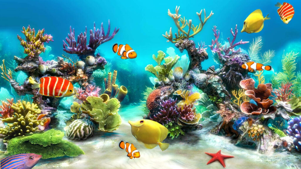 Sparkling Marine Wonderland: An Animated Desktop Oasis Teeming with Vibrant Corals, Fish, and Starfish in Crystal Clear Waters Wallpaper