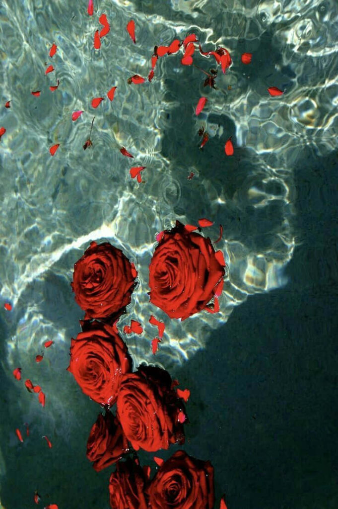 Vibrant Red Roses on Rippling Water - Enchanting Romantic Wallpaper
