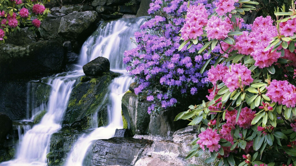 Enchanting Waterfall Haven: A Captivating Backdrop of Pink and Purple Blossoms Wallpaper