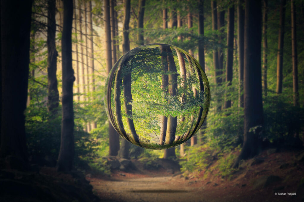 Enchanting Forest Escape: Captivating Sphere Suspended in Stunning Photoshop HD Landscape Wallpaper