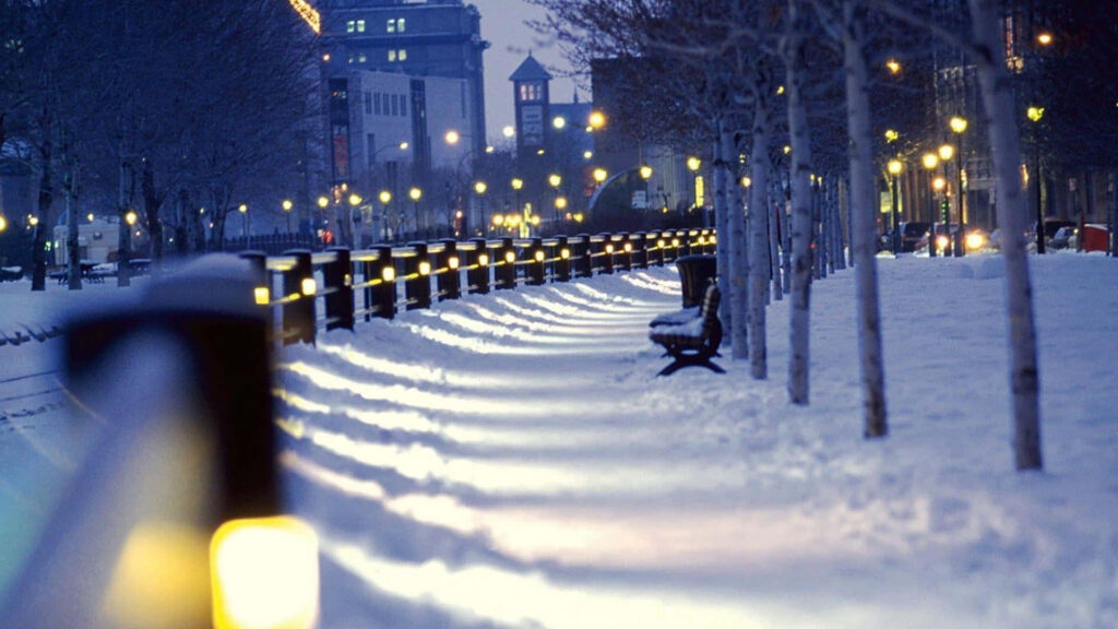 Enchanting Winter Cityscape Wallpaper: Snowy Pathway & Illuminated Trees