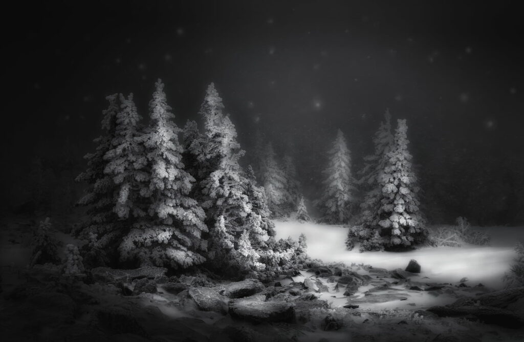 Midnight Frost: A Breathtaking High-Definition Black & White Winter Night Wallpaper