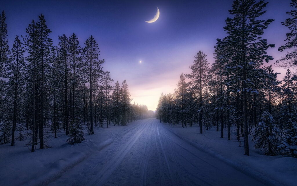 Majestic Moonlit Path: Enchanting Winter Night Through Snowy Forest Wallpaper