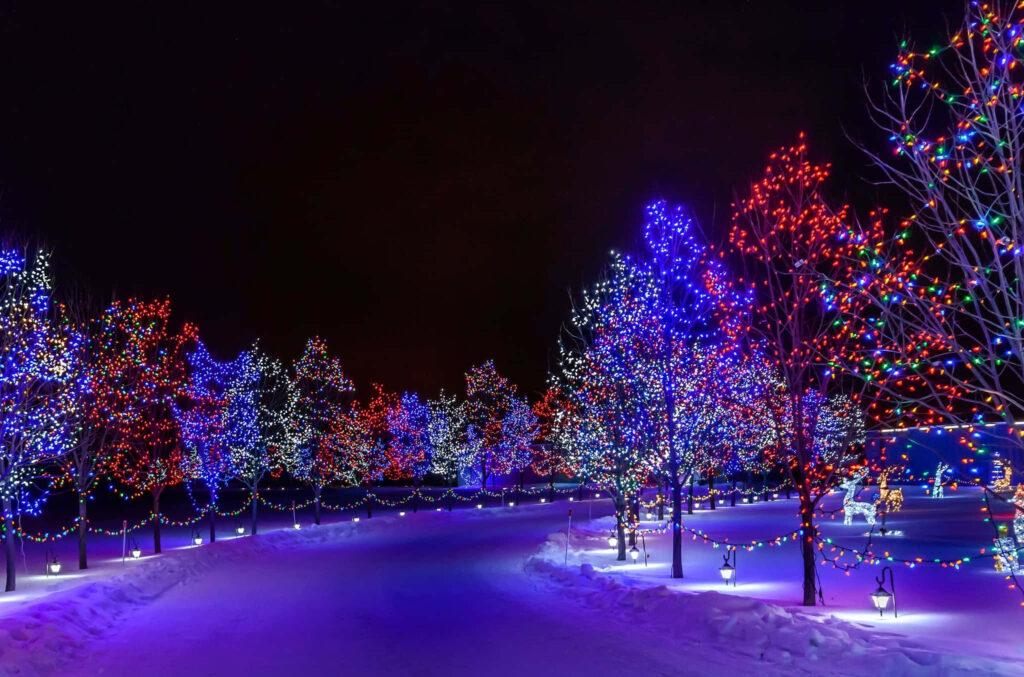 Enchanting Winter Pathway with Colorful Lights Under Night Sky Wallpaper