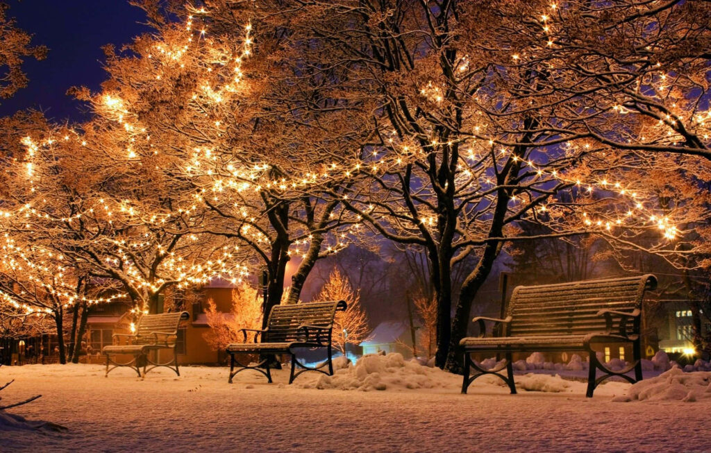 Enchanting Winter Wallpaper: Twinkling Trees & Snowy Serenity