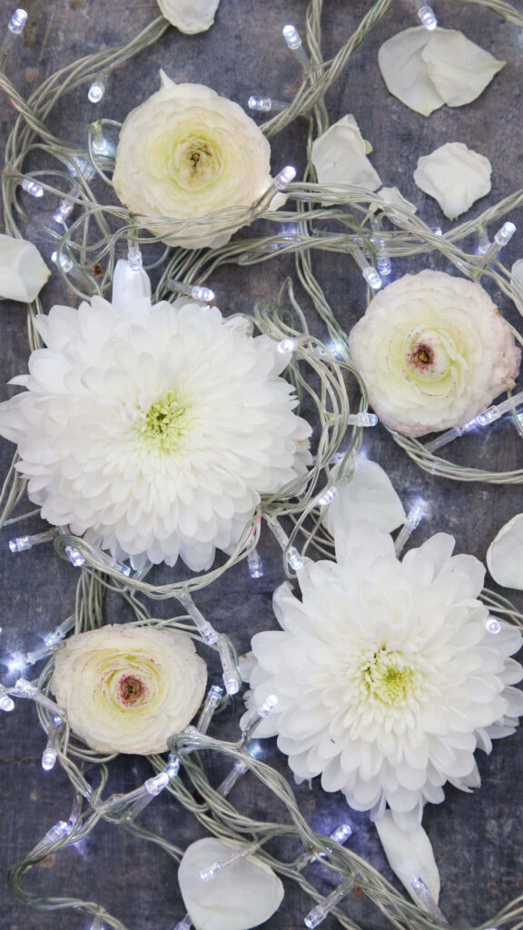 Enchanting Winter Wallpaper: Delicate White Flowers & Soft Lights