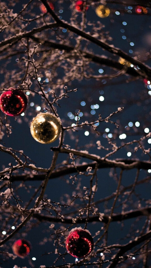 Enchanting Winter Scene with Snowy Branches & Twinkling Christmas Lights Wallpaper