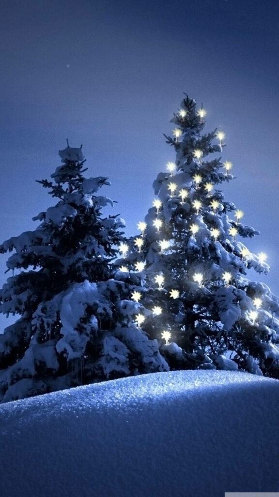 Serene Winter Wonderland: Snowy Christmas Trees Under Twilight Sky Wallpaper