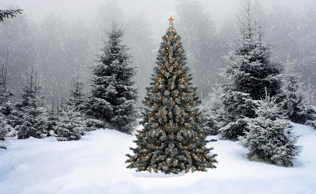 Winter Wonderland: Majestic Christmas Tree adorned with twinkling lights and a dazzling star, amidst a serene snowy forest Wallpaper