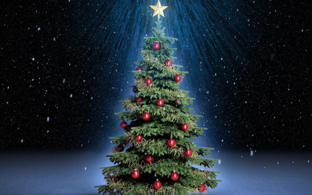 Enchanting Festivities: Illuminate your Winter Nights with a Glowing Christmas Tree under a Starry Sky Wallpaper