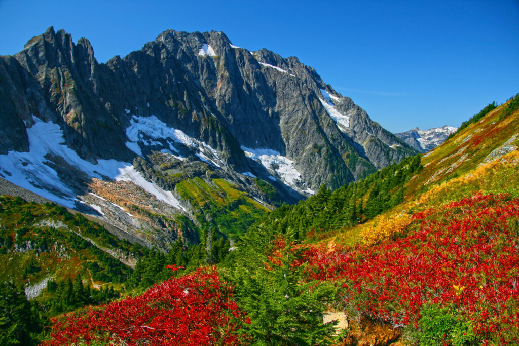 Nature's Majestic Tapestry: HD Mountain Background Showcasing Snow-Clad Ridges Harmonizing with Autumnal Forest Wallpaper