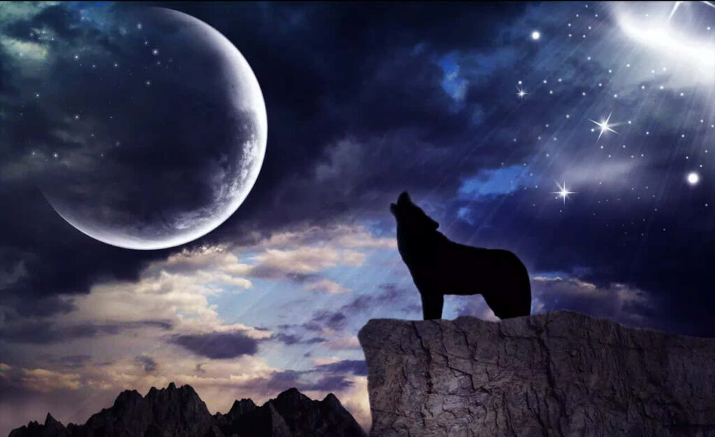 Mystical Wolf Silhouette Wallpaper Under Radiant Moonlight
