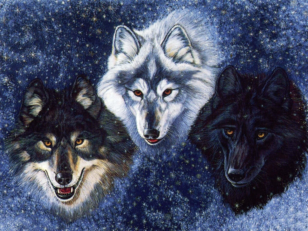 Captivating Wallpaper: Mystical Wolves Under a Starry Night Sky